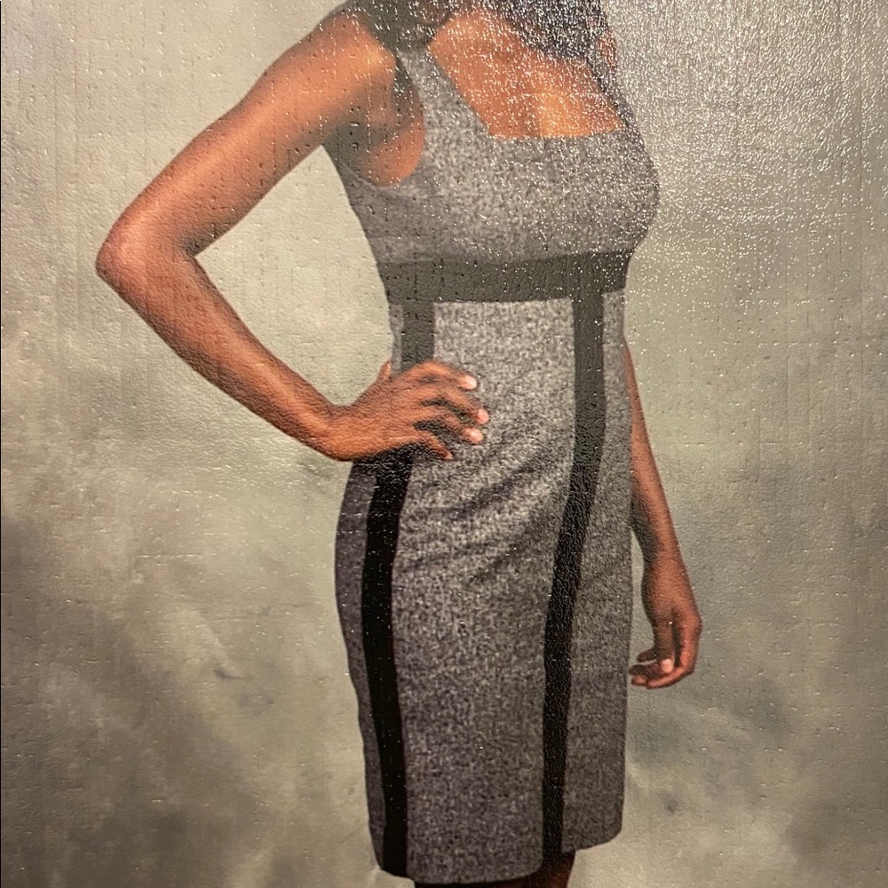 BEBE dress and blazer combo.